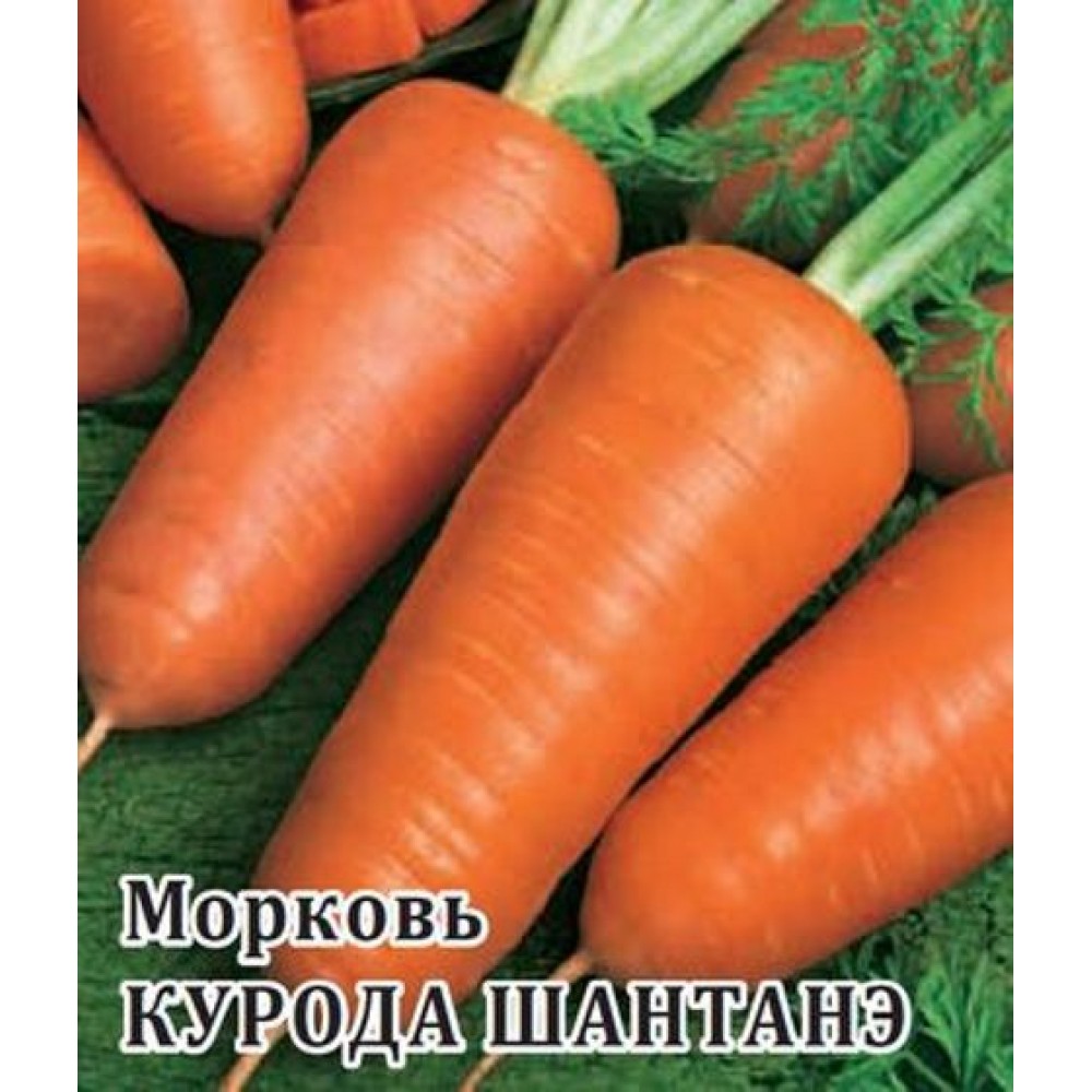 Морква Курода Шантані. 0,25 кг SAKATA