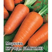 Морковь Курода Шантане. 0,25кг SAKATA