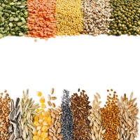 Семена и посевной материал