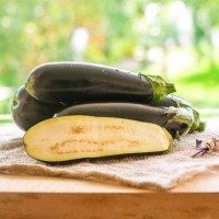 Баклажан КАЗИМИР F1 1000 сем. Клоз (Clause)