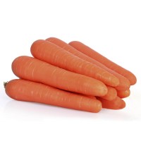 Морква САНТОРІН F1 100 000 нас. (2,0 - 2,25) Клоз (Clause)