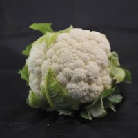 Цветная капуста ТРАЙДЕНТ F1 2500 сем. Клоз (Clause)