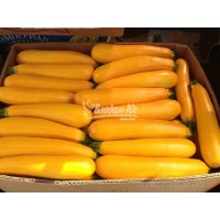 Кабачок САНЛАЙТ F1 1000 сем. Клоз(Clause)