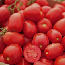 Томат П’ЄТРА РОССА F1 1000 нас. Клоз (Clause)