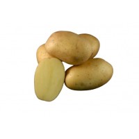 Картофель семенной Барселона 1 кг( среднеспелый 1 репродукция)