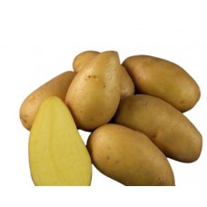 Насіннєва картопля Екскуза 1 кг (середньостигла 1 репродукція)