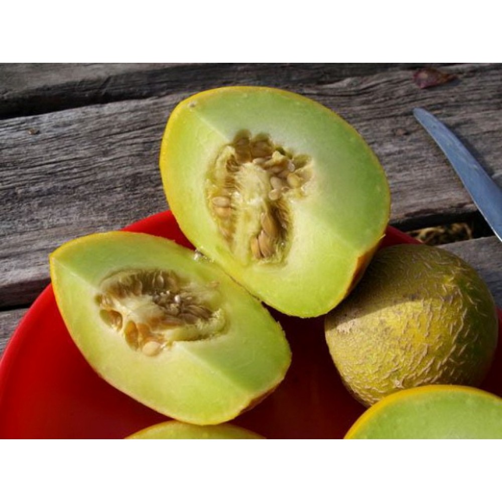 Купить Дыня Паспорт F1. 1000 сем.HOLLAR SEEDS в магазине Зелений Світ