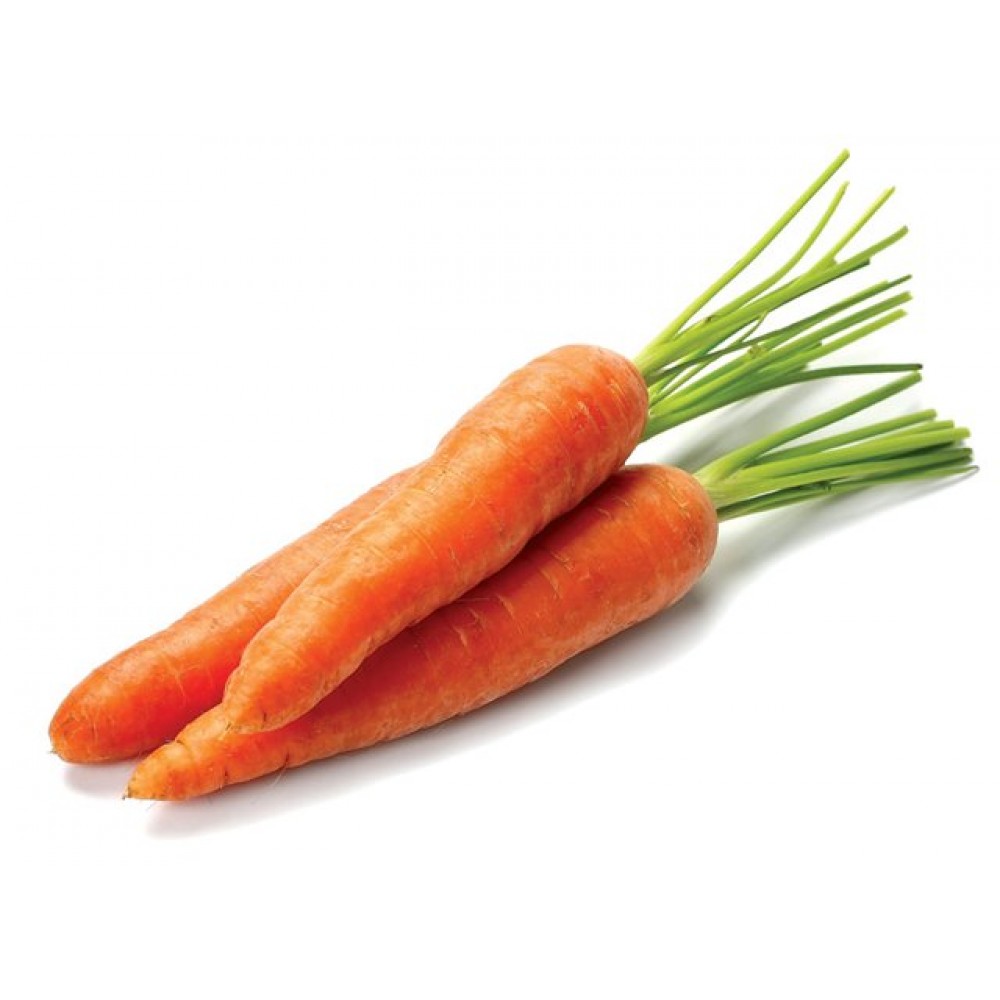 Морковь Джерада F1 100000 сем. Рийк Цваан(Rijk Zwaan)