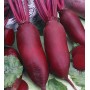 Свекла Торпедо 1000 сем Наско