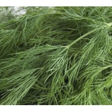 Укроп кустовой Ватель F1 100 г Наско