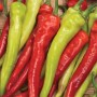 Перец острый Фарин 500 сем Наско