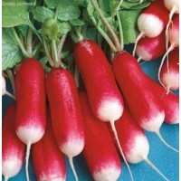 Редис 18 дней 20 г Наско