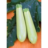 Кабачок Іскандер F1 500 сем Семісіс