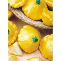 Кабачок Санни Делайт F1 100 сем Семинис