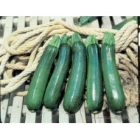 Кабачок ТАРМИНО F1 500 сем. Клоз(Clause)