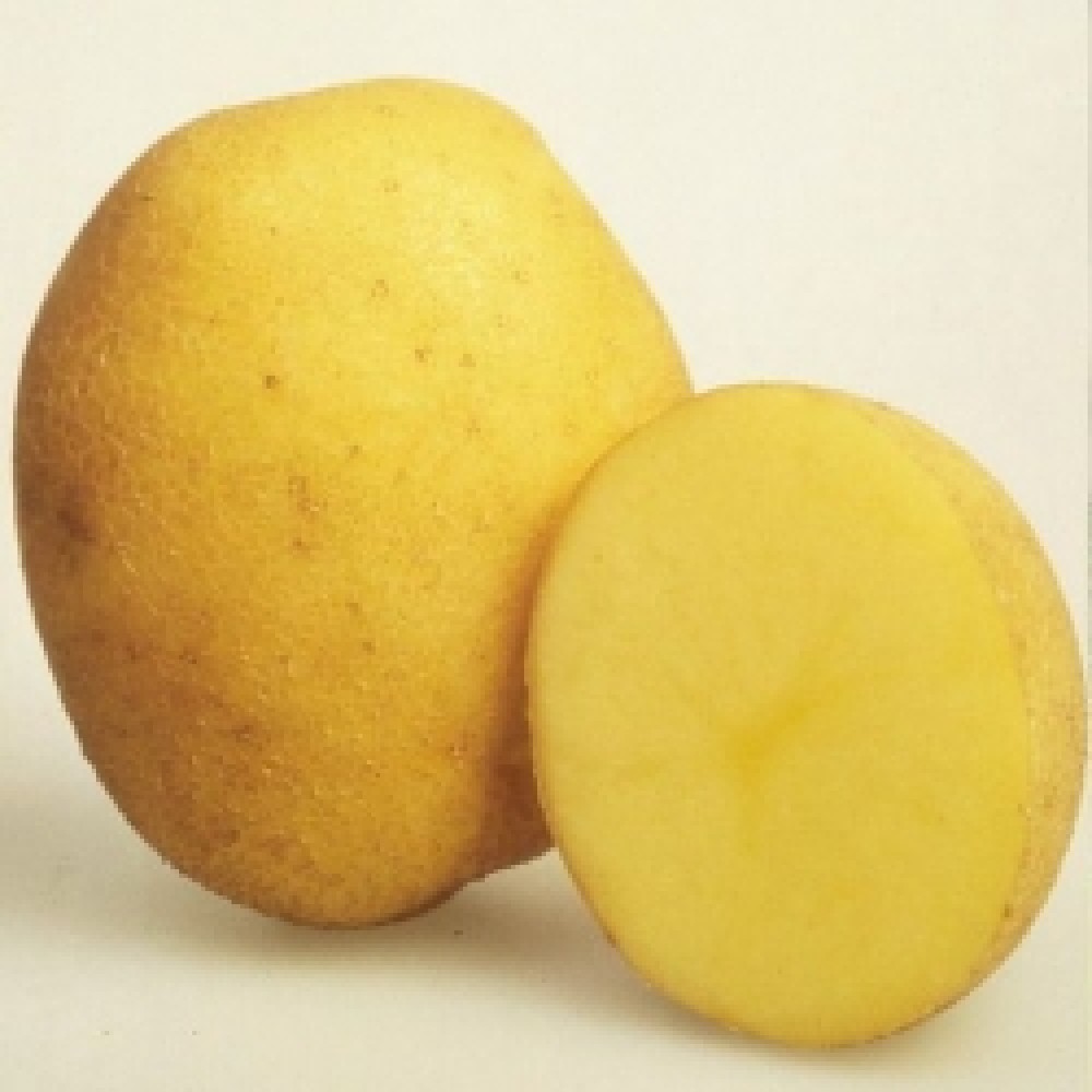 Картофель Винета 3 кг ФХ Лилия