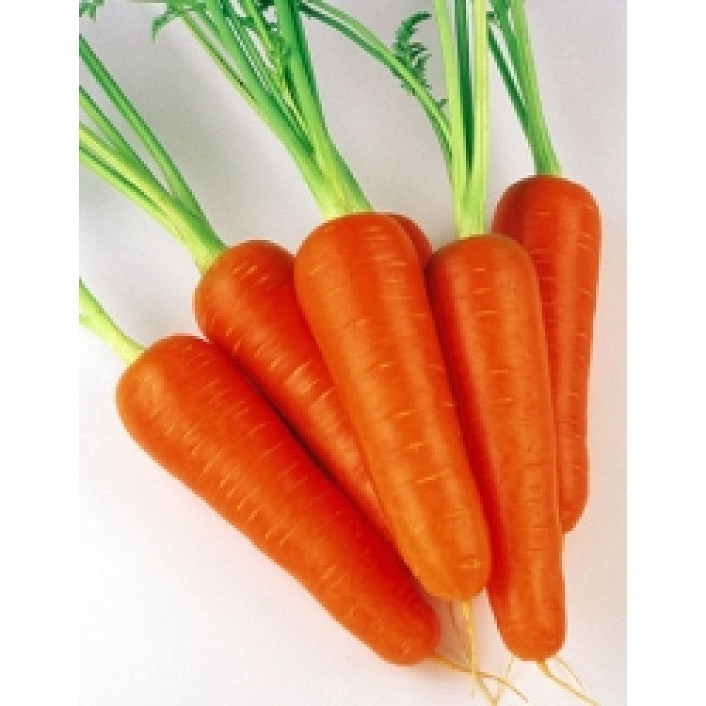 Морковь Абако F1 200000 сем Семинис
