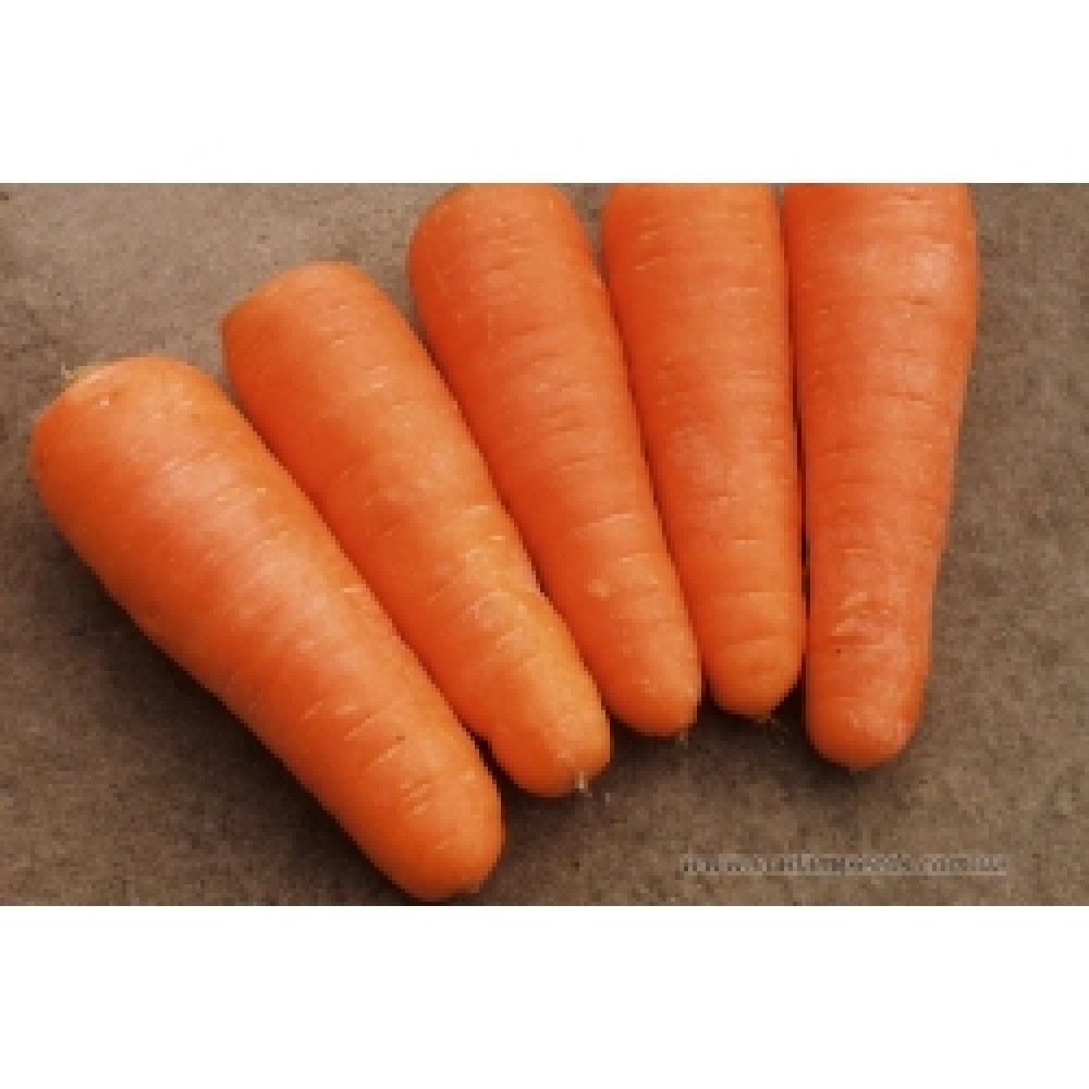 Морковь Борец F1 100000 сем Клоз(нет в наличии)