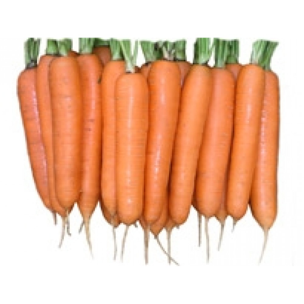 Морковь Элеганс F1(primed 1,6-1,8) 100000 сем Нунемс