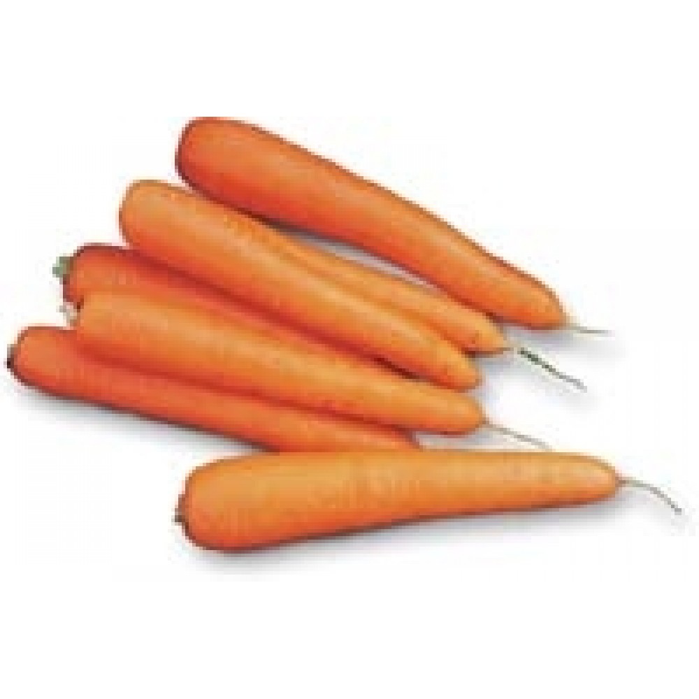 Морковь Лагуна F1(1,8-2,0) 100000 сем Нунемс