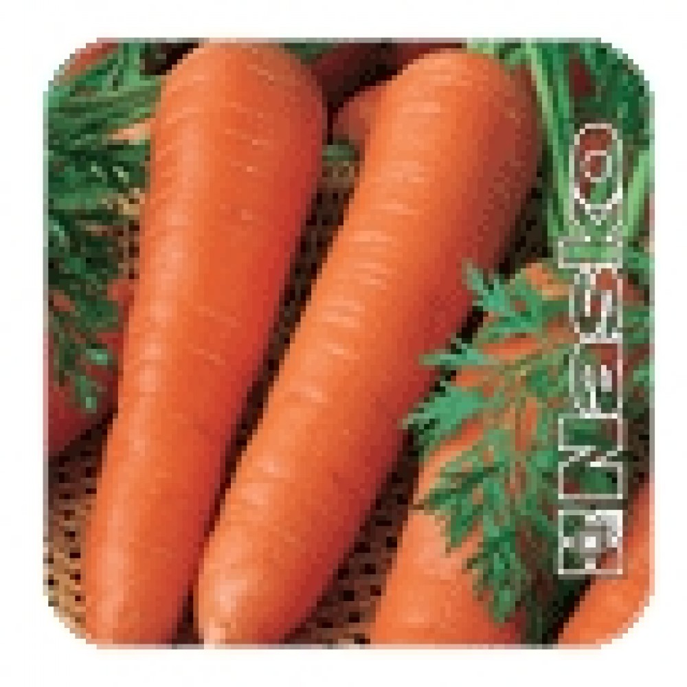 Морковь Мазурка 100 гр Наско