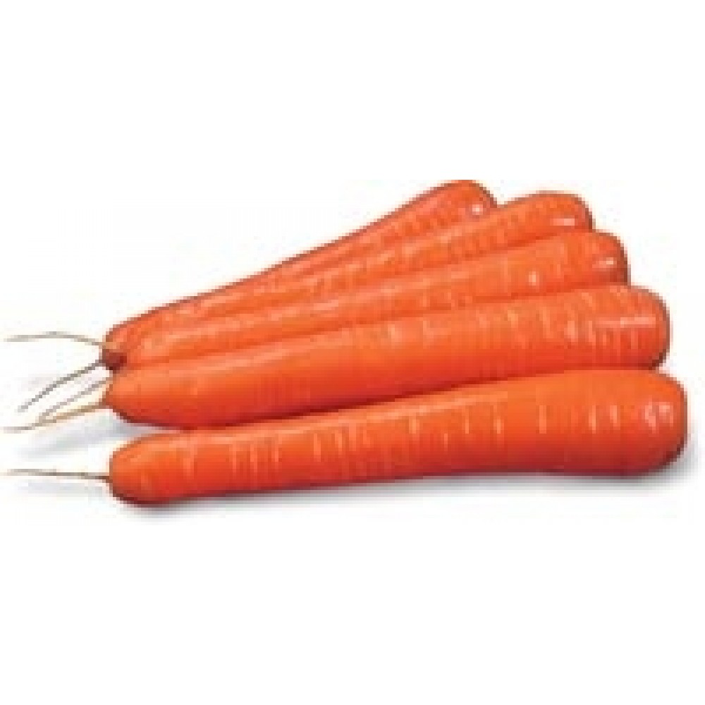 Морковь Сиркана F1(1,6-1,8) 25000 сем Нунемс