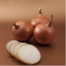 Цибуля ріпчаста Боско F1 250 000 нас. Сингента (Syngenta)