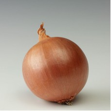 Цибуля ріпчаста Вісіон F1 250 000 нас. Сингента (Syngenta)