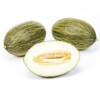 Диня Макабео F1 500 нас. Сінгента (Syngenta)