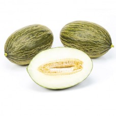 Диня Макабео F1 500 нас. Сінгента (Syngenta)