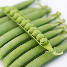 Горох овочевий Ідалго 100 000 нас. Сингента (Syngenta)