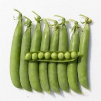 Горох овочевий Кудо 100 000 нас. Сингента (Syngenta)