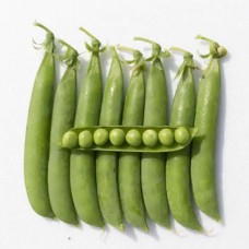 Горох овочевий Кудо 100 000 нас. Сингента (Syngenta)