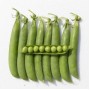 Горох овочевий Кудо 100 000 нас. Сингента (Syngenta)