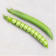 Горох овочевий Мусіо (Муціо) 100 000 нас. Сингента (Syngenta)