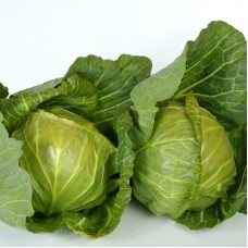 Капуста білоголова рання Мірор F1 2500 нас. Сінгента (Syngenta)