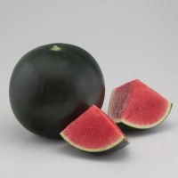 Арбуз Морена F1 1000 сем. Сингента (Syngenta)