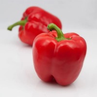 Перець Єкла F1 500 нас. Сингента (Syngenta)