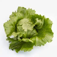 Салат айсберг Айс вейв 5 000 нас. Сингента (Syngenta)