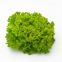 Салат листовий Фанлі 5 000 нас. Сингента (Syngenta)