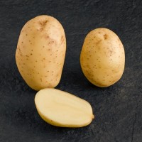 Картофель Мелоди 3 кг ФХ Лилия