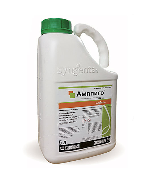 Купить Інсектицид Ампліго 5 л Syngenta в магазине Зелений Світ