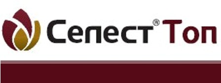 Купить Протравитель Селест Топ 5л Сингента в магазине Зелений Світ